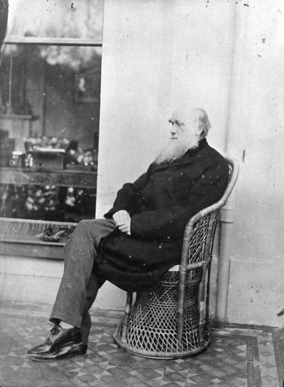 Charles Darwin by Captain L. Darwin